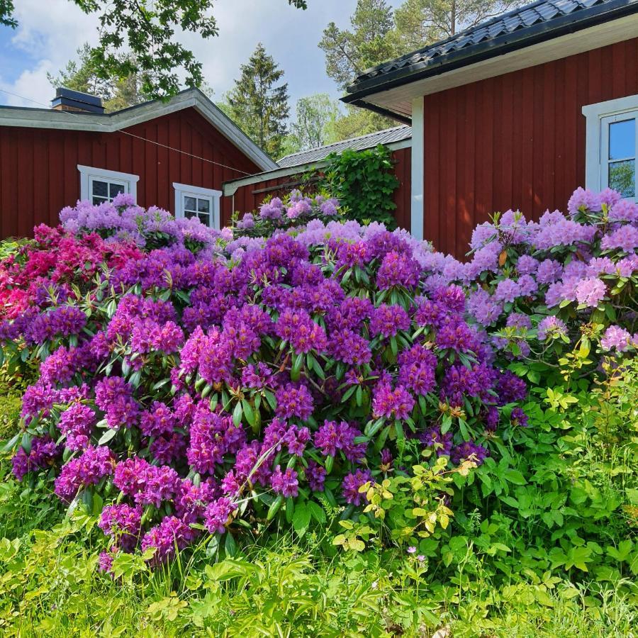 Villa Torpet Gardsvaegen Hammar Esterno foto